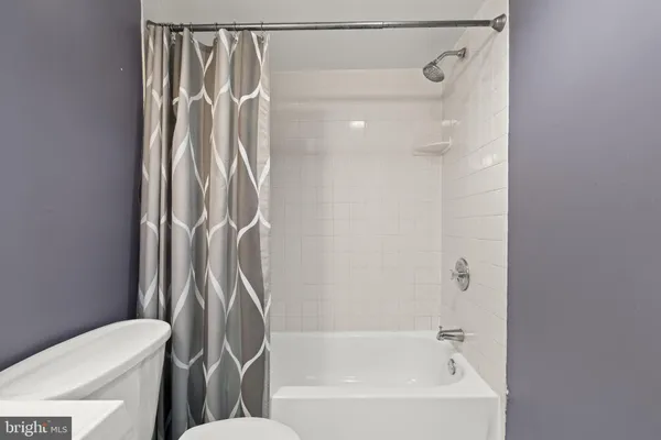 a bathroom with a shower and a toilet