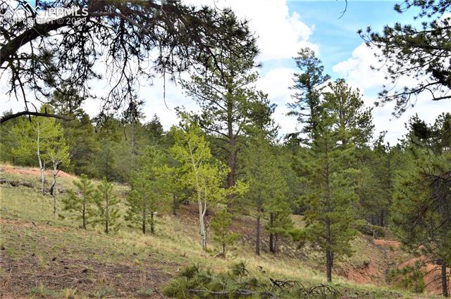 698 Pinewood Road Florissant, CO 80816 - Photo 5 of 5