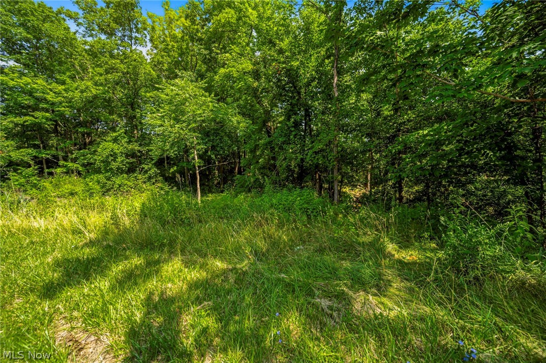 Hanna Road Willoughby, OH 44094 - Photo 23 of 23