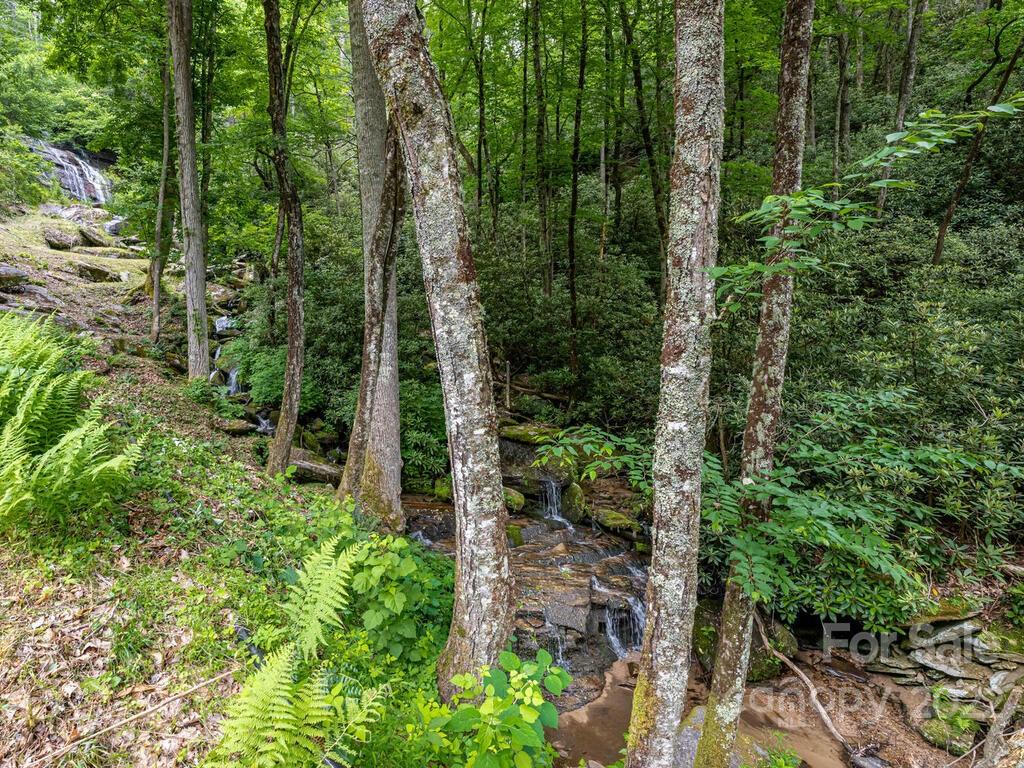 225 North Bearwallow Road Fletcher, NC 28732 - Photo 13 of 37 Gallery Image 13