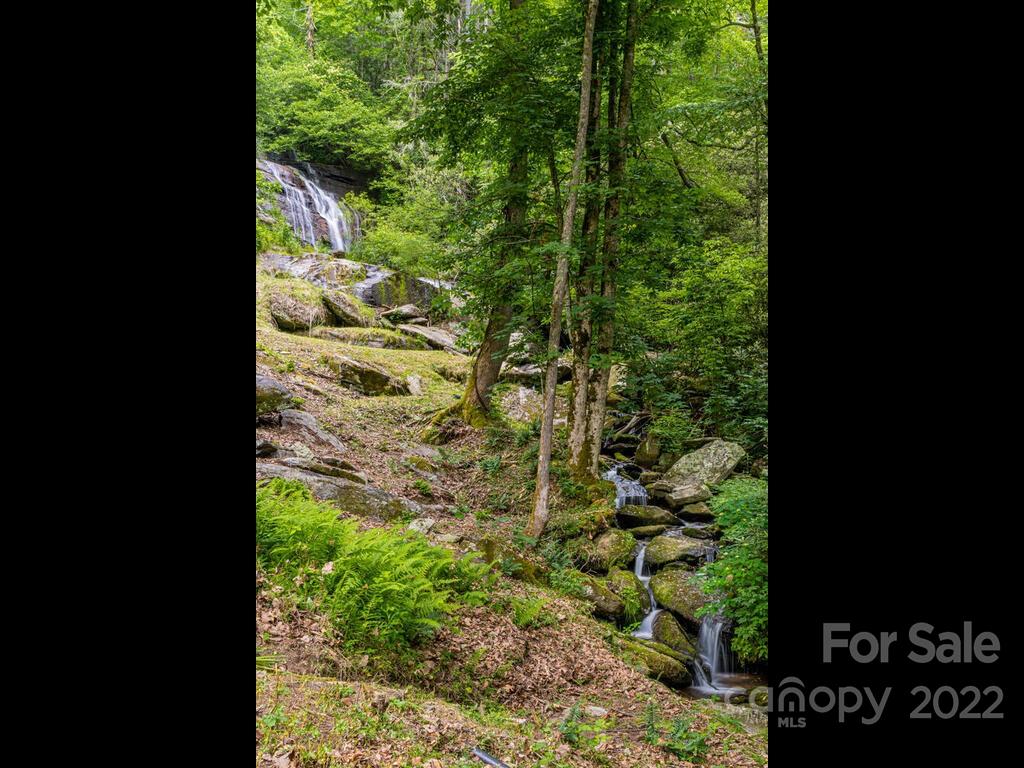 225 North Bearwallow Road Fletcher, NC 28732 - Photo 17 of 37 Gallery Image 17