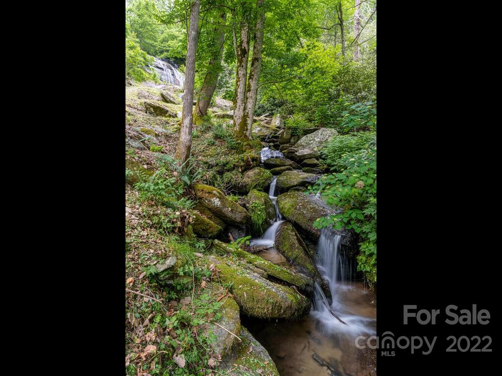225 North Bearwallow Road Fletcher, NC 28732 - Photo 19 of 37 Gallery Image 19