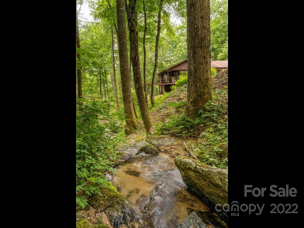 225 North Bearwallow Road Fletcher, NC 28732 - Photo 20 of 37 Gallery Image 20