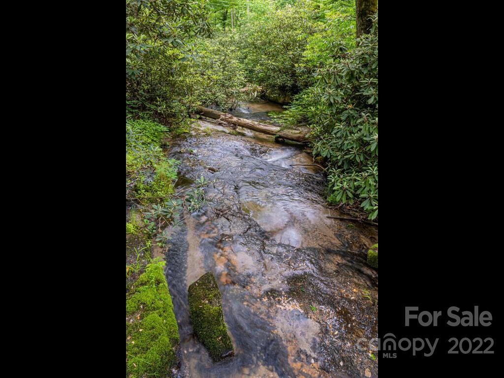 225 North Bearwallow Road Fletcher, NC 28732 - Photo 28 of 37 Gallery Image 28