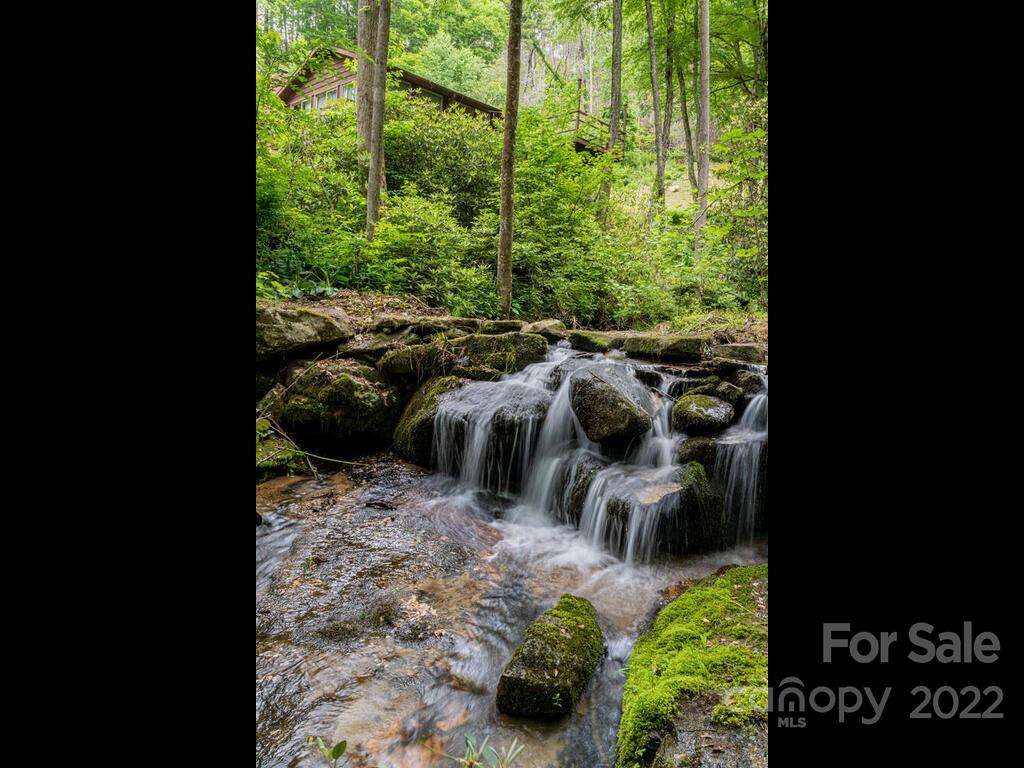 225 North Bearwallow Road Fletcher, NC 28732 - Photo 29 of 37 Gallery Image 29