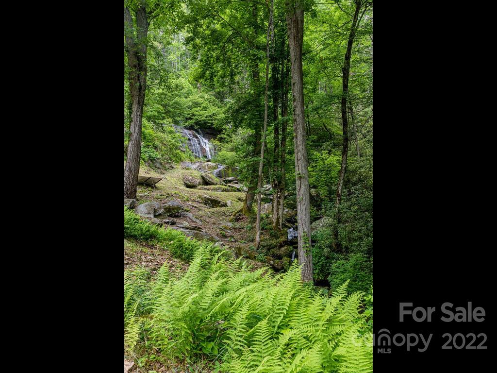 225 North Bearwallow Road Fletcher, NC 28732 - Photo 37 of 37 Gallery Image 37
