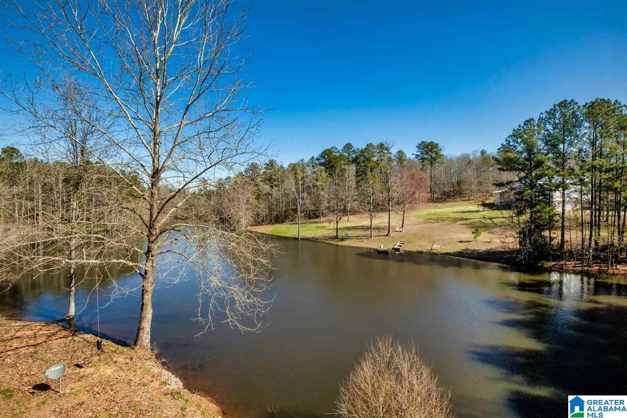 593 Lock 4 Road Riverside, AL 35135 - Photo 46 of 49