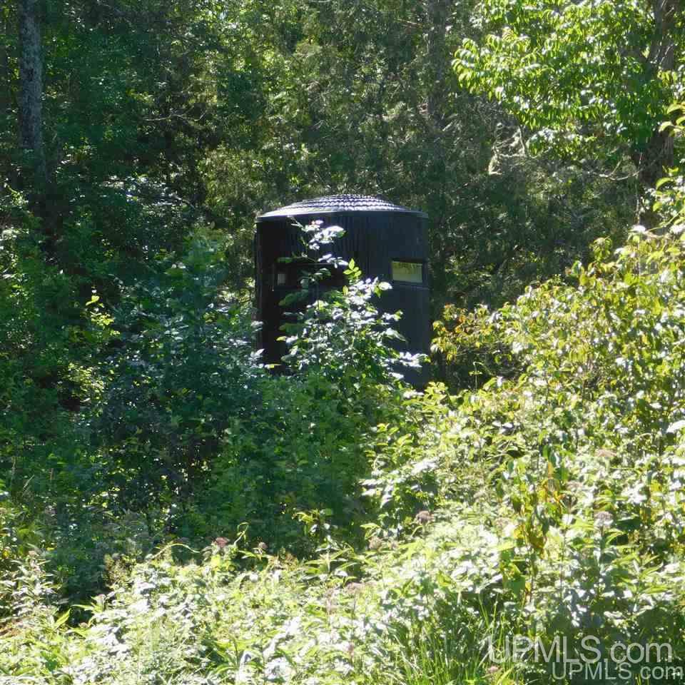 Tbd Lantz Road Ralph, MI 49877 - Photo 32 of 47