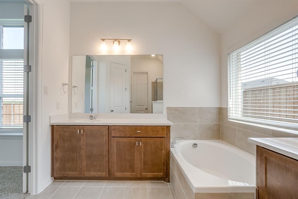 909 Schuberts Road Justin, TX 76247 - Photo 17 of 34 a bathroom with a bathtub a sink a mirror and a bathtub