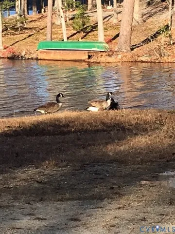 a view of a house with a yard and furniture