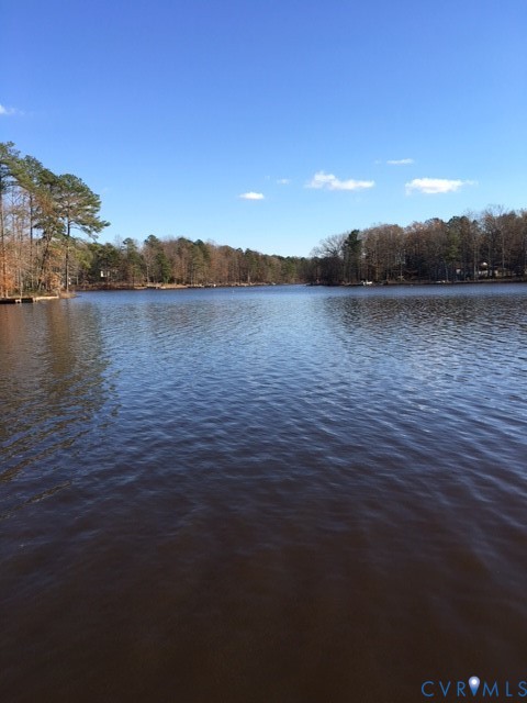 100 Hessian Drive Ruther Glen, VA 22546 - Photo 21 of 22 a view of lake
