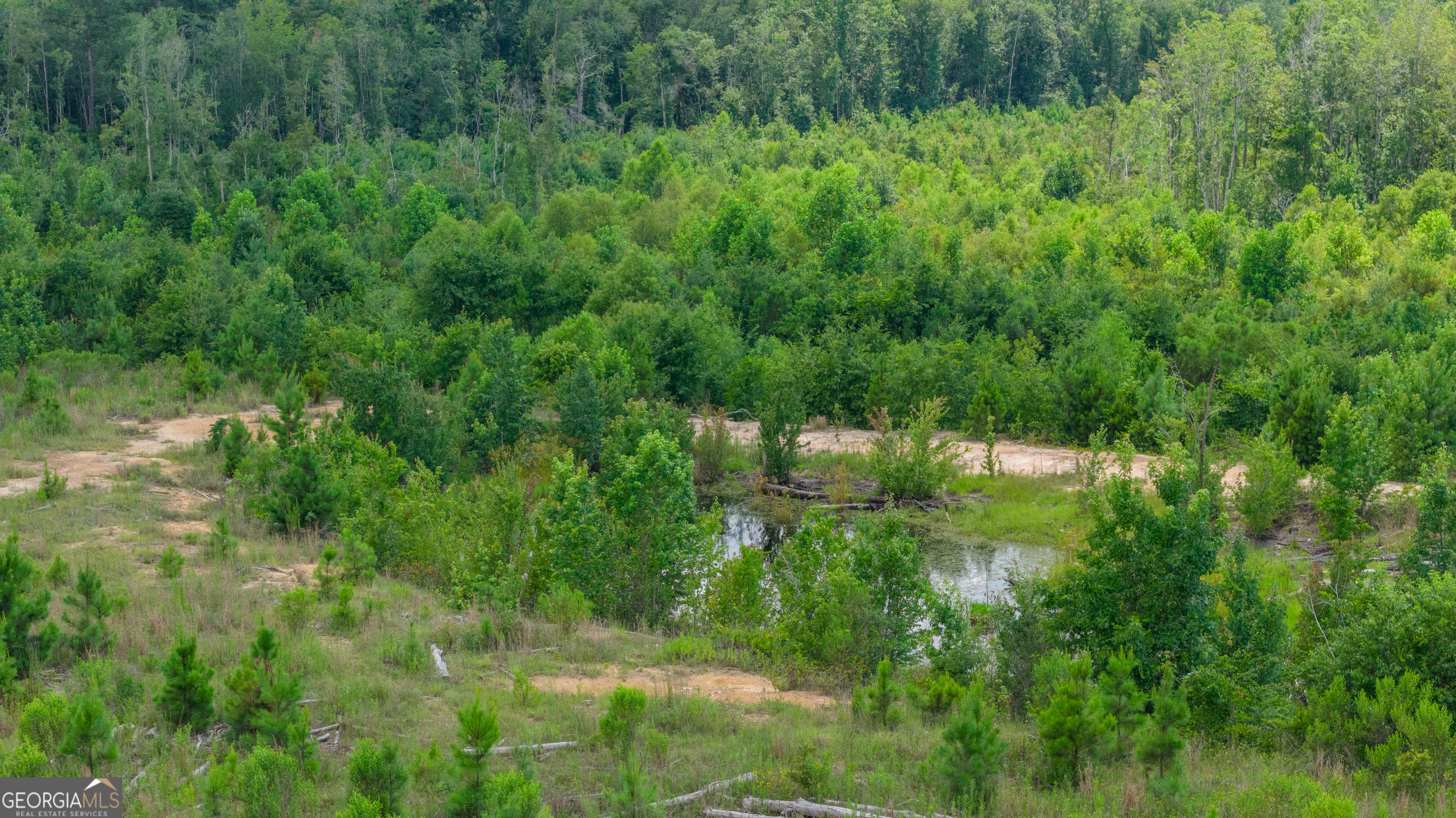 0 Wade Aycock Road Odum, GA 31555 - Photo 16 of 16
