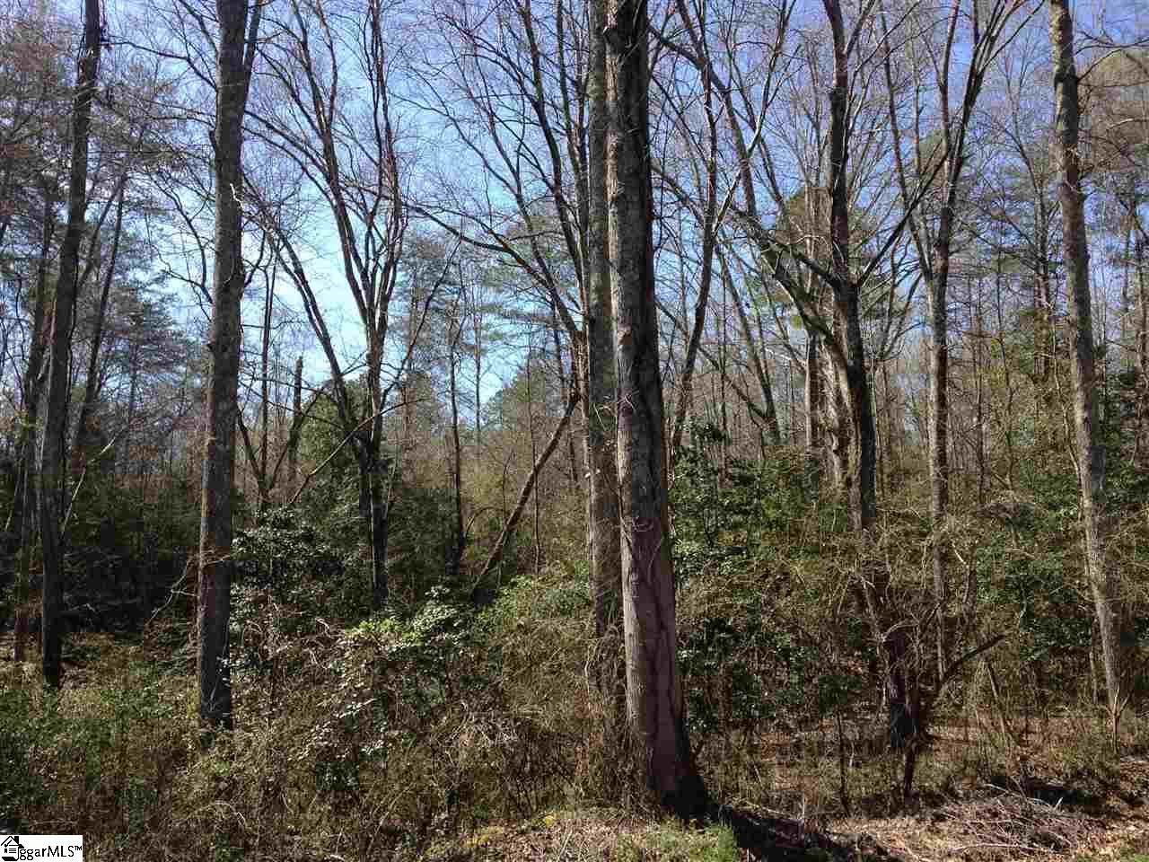Pearson Road Belton, SC 29627 - Photo 1 of 12