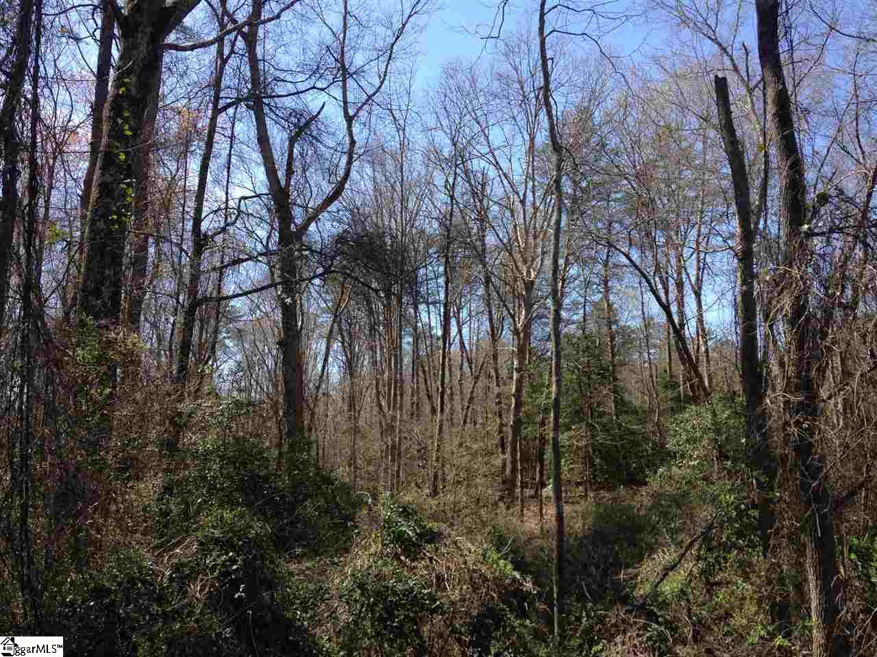 Pearson Road Belton, SC 29627 - Photo 2 of 12