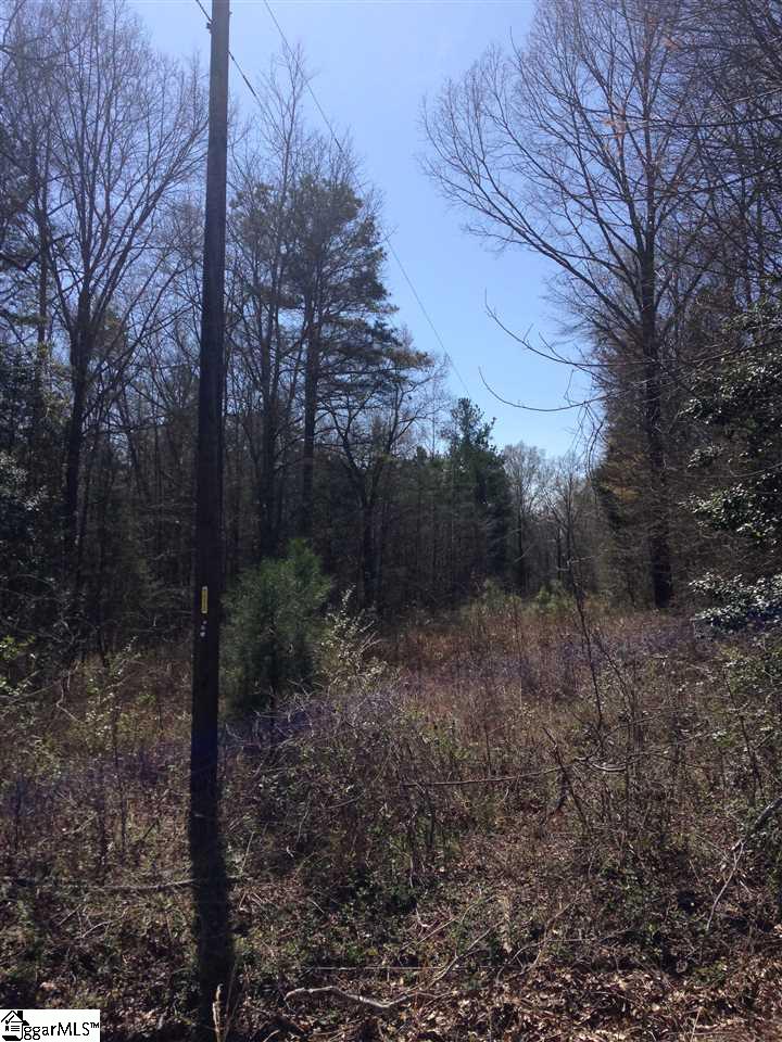 Pearson Road Belton, SC 29627 - Photo 11 of 12