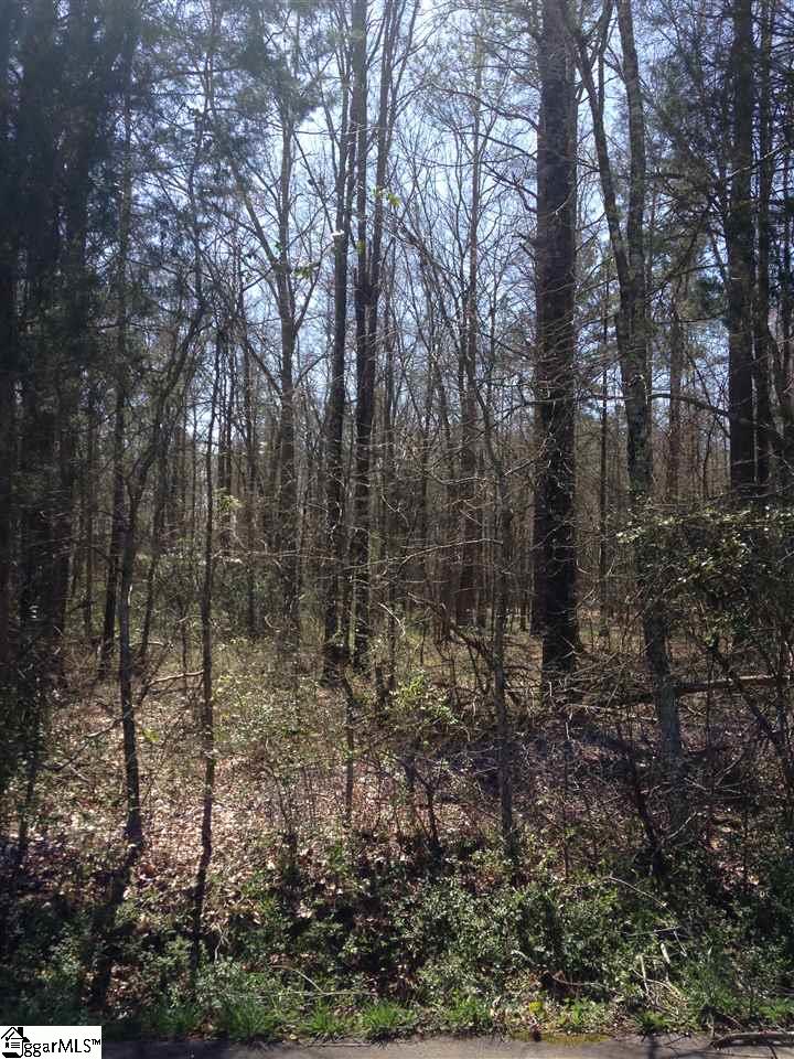 Pearson Road Belton, SC 29627 - Photo 12 of 12