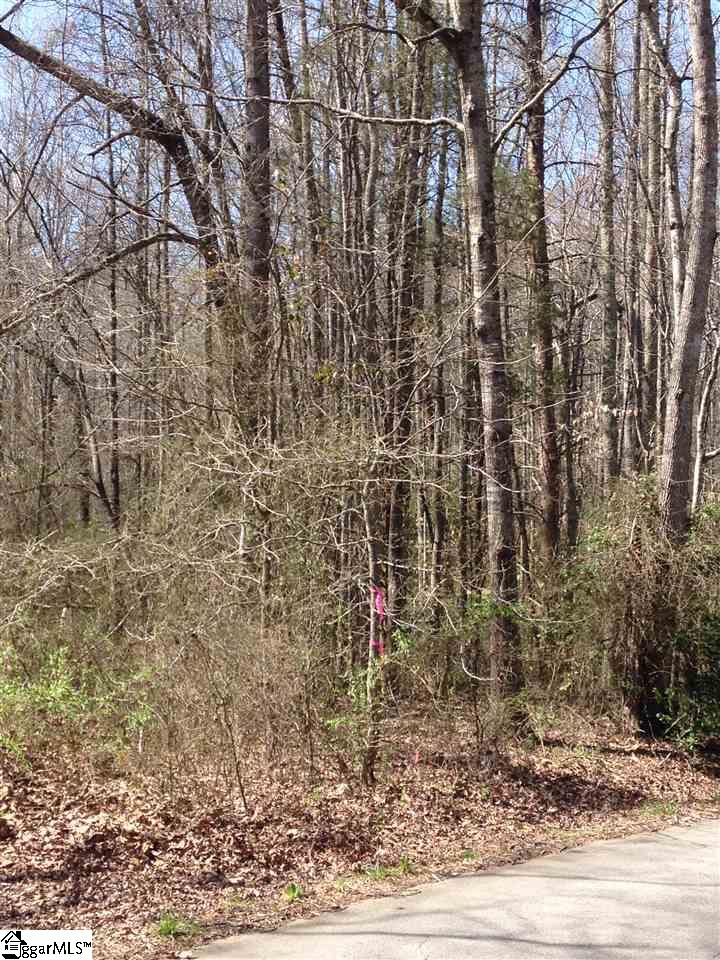 Pearson Road Belton, SC 29627 - Photo 6 of 12