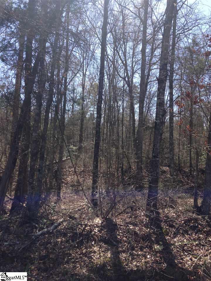 Pearson Road Belton, SC 29627 - Photo 8 of 12