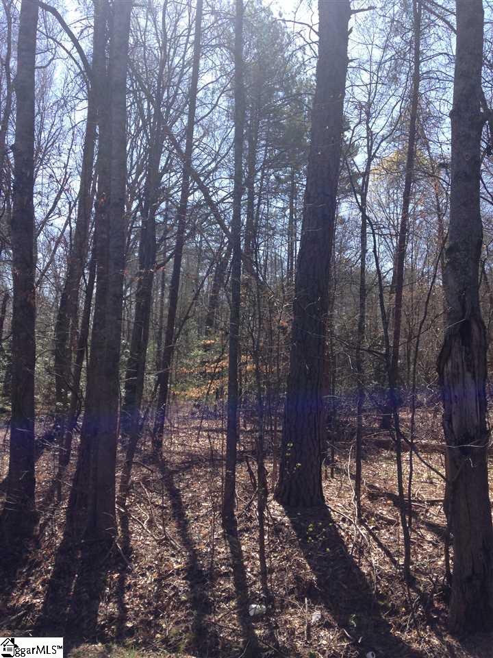 Pearson Road Belton, SC 29627 - Photo 10 of 12