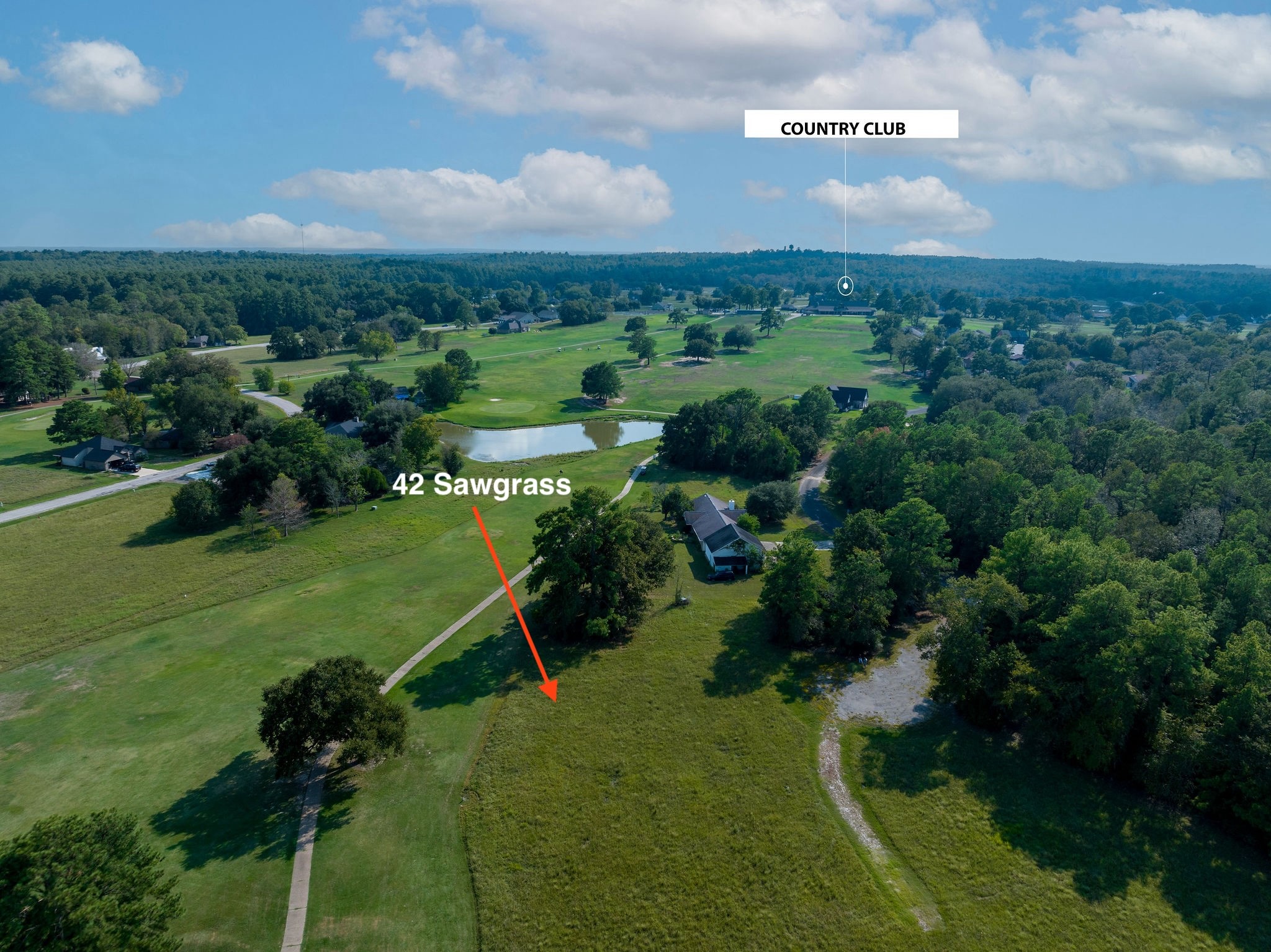 42 Sawgrass Trinity, TX 75862 - Photo 41 of 42 a view of a garden with houses