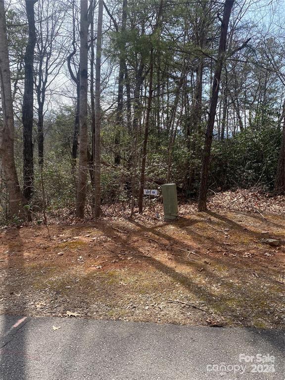V/l V/l Marterdan Ridge Marion, NC 28752 - Photo 1 of 12 a view of a tree in the middle of a yard