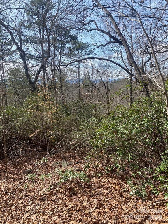 V/l V/l Marterdan Ridge Marion, NC 28752 - Photo 11 of 12 a backyard of a house with lots of green space