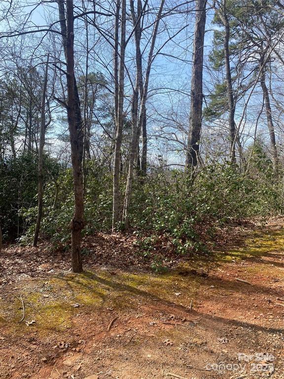 V/l V/l Marterdan Ridge Marion, NC 28752 - Photo 12 of 12 a view of a yard with plants and trees