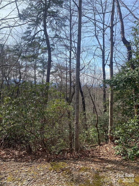 V/l V/l Marterdan Ridge Marion, NC 28752 - Photo 6 of 12 a backyard of a house with lots of green space
