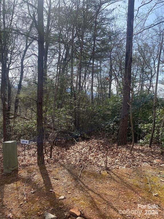 V/l V/l Marterdan Ridge Marion, NC 28752 - Photo 7 of 12 a view of a forest with trees