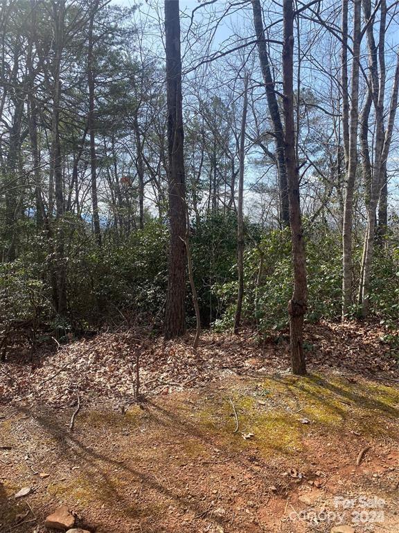 V/l V/l Marterdan Ridge Marion, NC 28752 - Photo 8 of 12 a view of a forest filled with trees