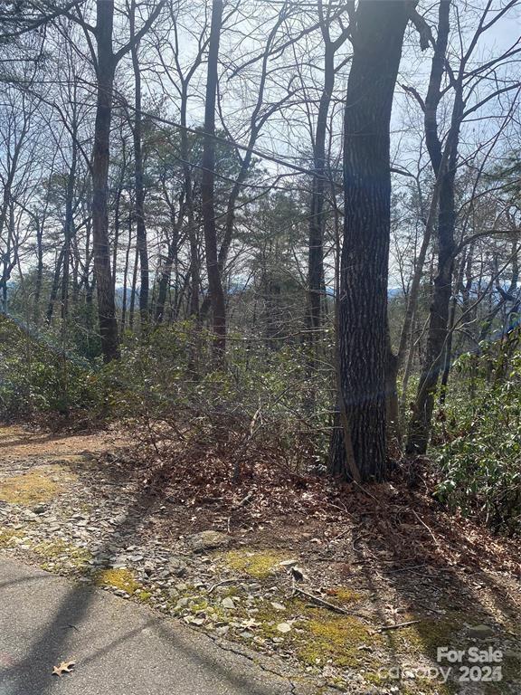 V/l V/l Marterdan Ridge Marion, NC 28752 - Photo 10 of 12 a view of a forest filled with trees