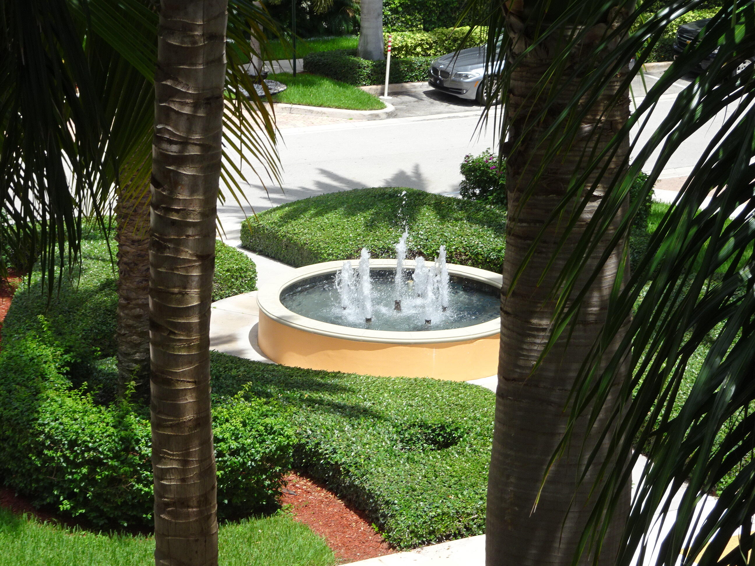 a view of fountain in the backyard of house