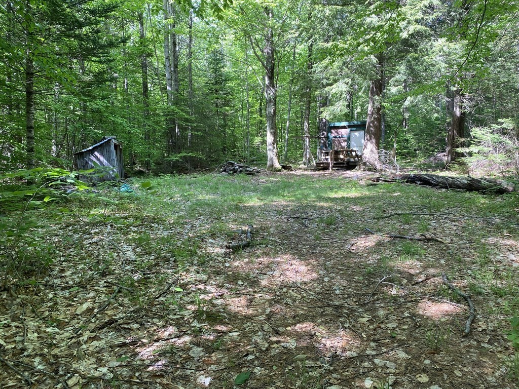 0 South Road Hawley, MA 01339 - Photo 1 of 13 a view of outdoor space and yard