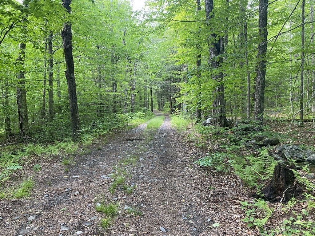 0 South Road Hawley, MA 01339 - Photo 11 of 13 a view of outdoor space and green space