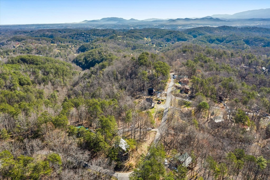 1650 South Mountain View Road Sevierville, TN 37876 - Photo 34 of 35