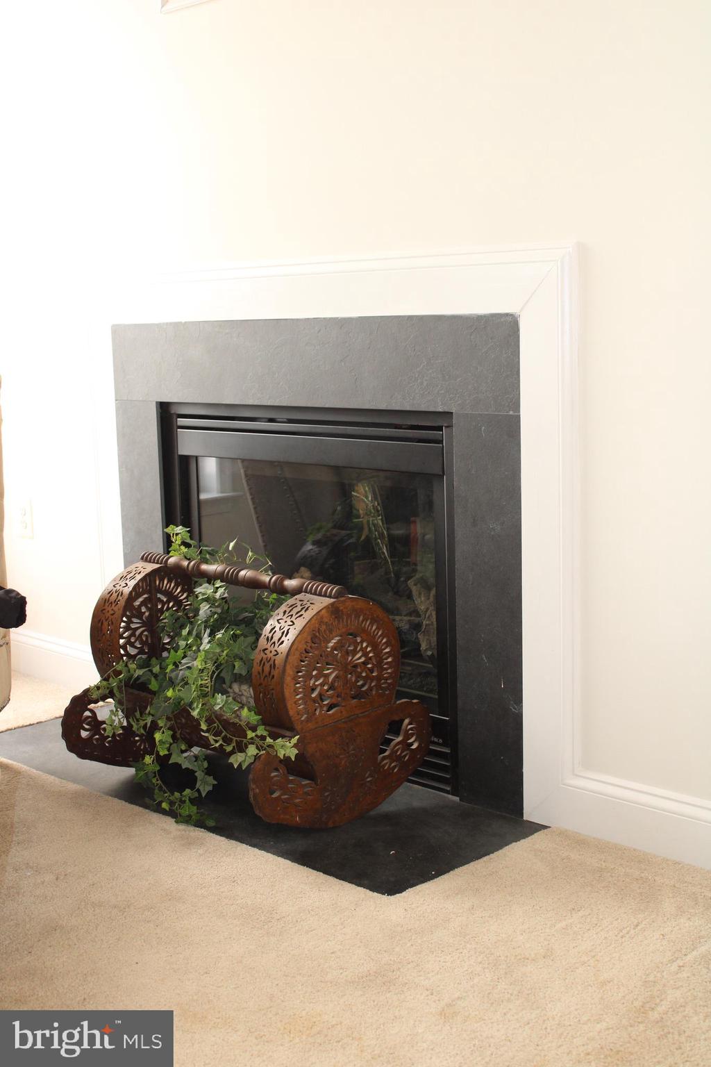 16171 Radburn Street Woodbridge, VA 22191 - Photo 20 of 95 Gallery Image 20