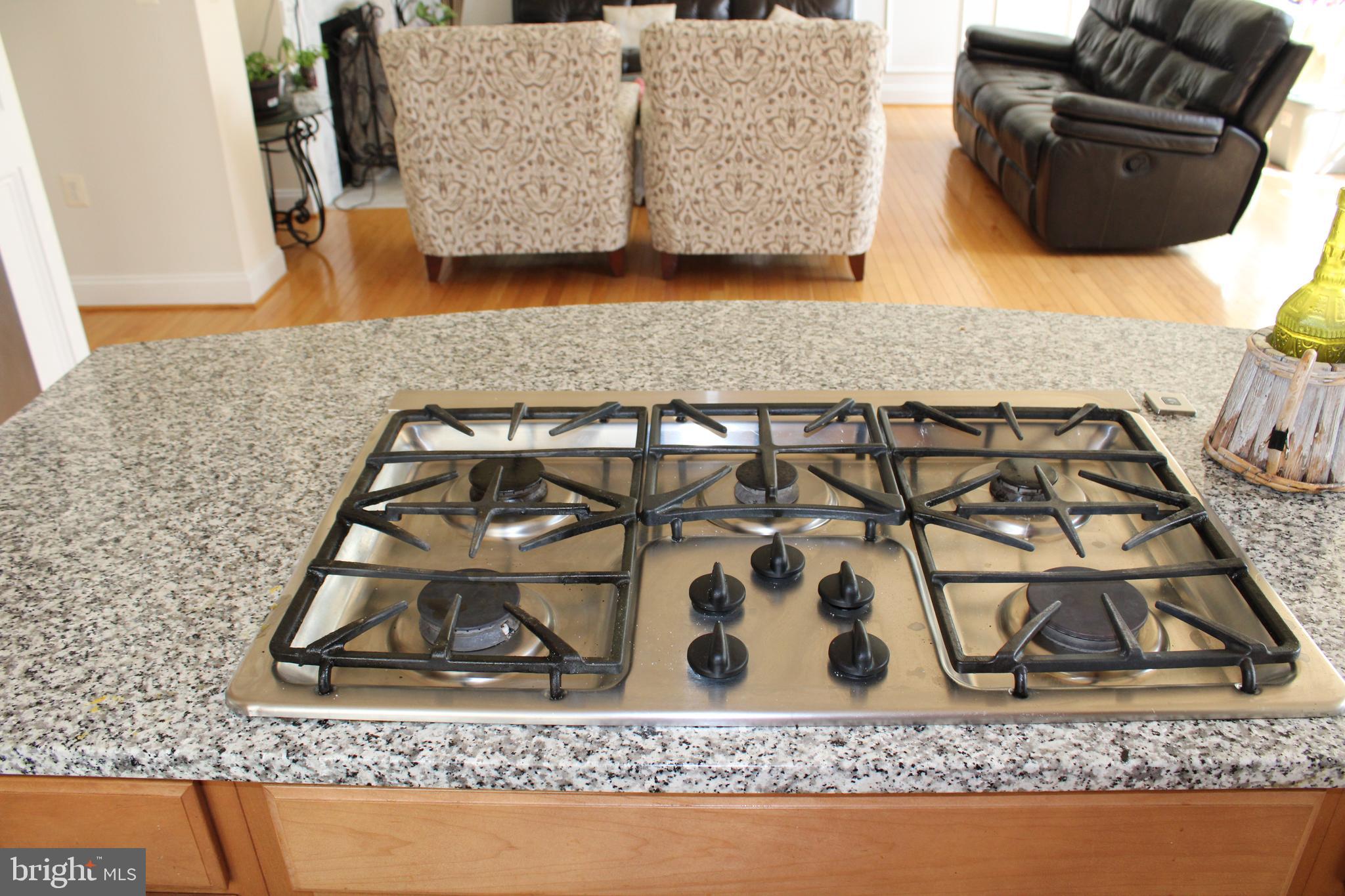 16171 Radburn Street Woodbridge, VA 22191 - Photo 35 of 95 Gallery Image 35