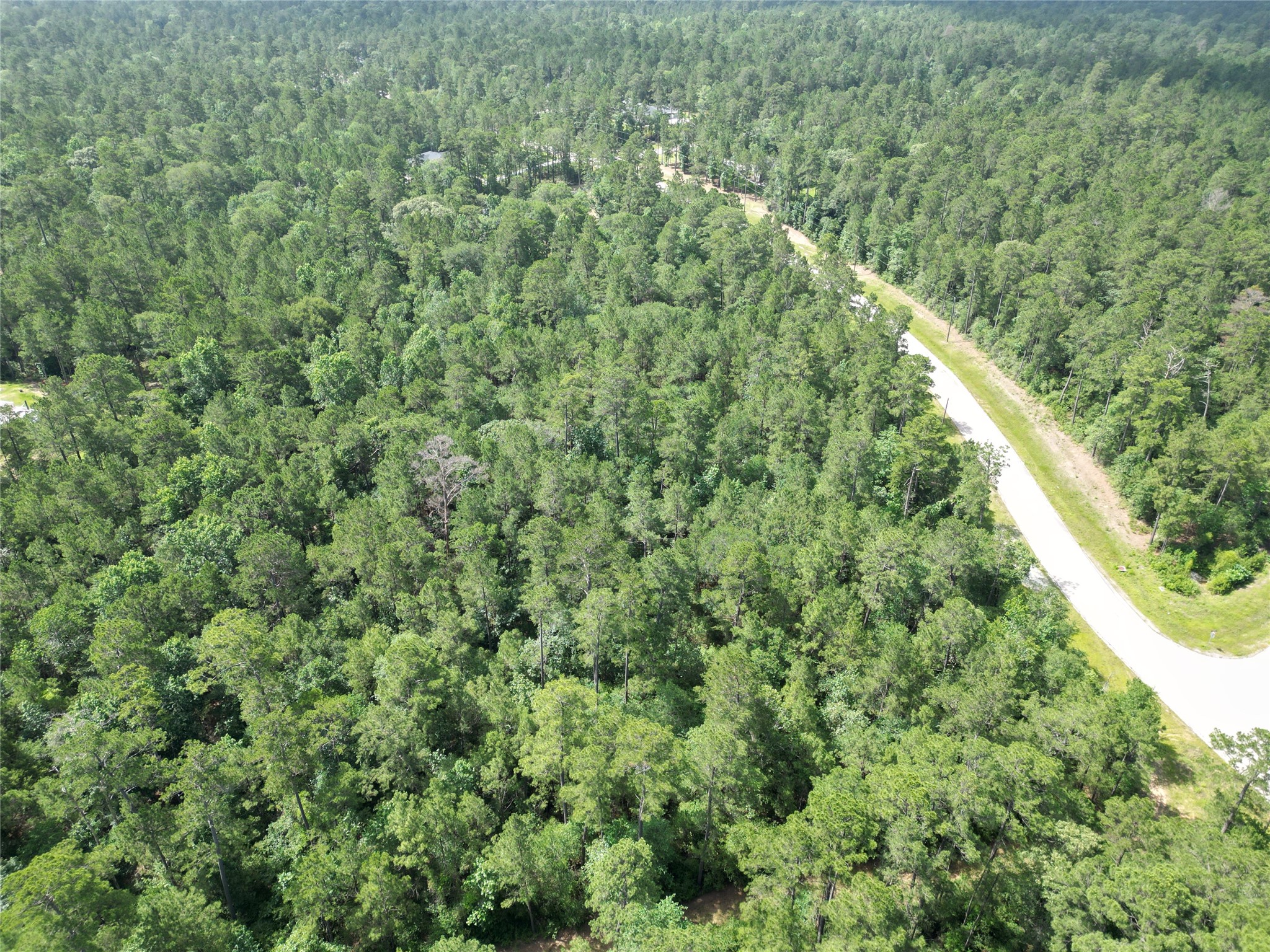 Lot 13 Windmill Road Huntsville, TX 77340 - Photo 33 of 39
