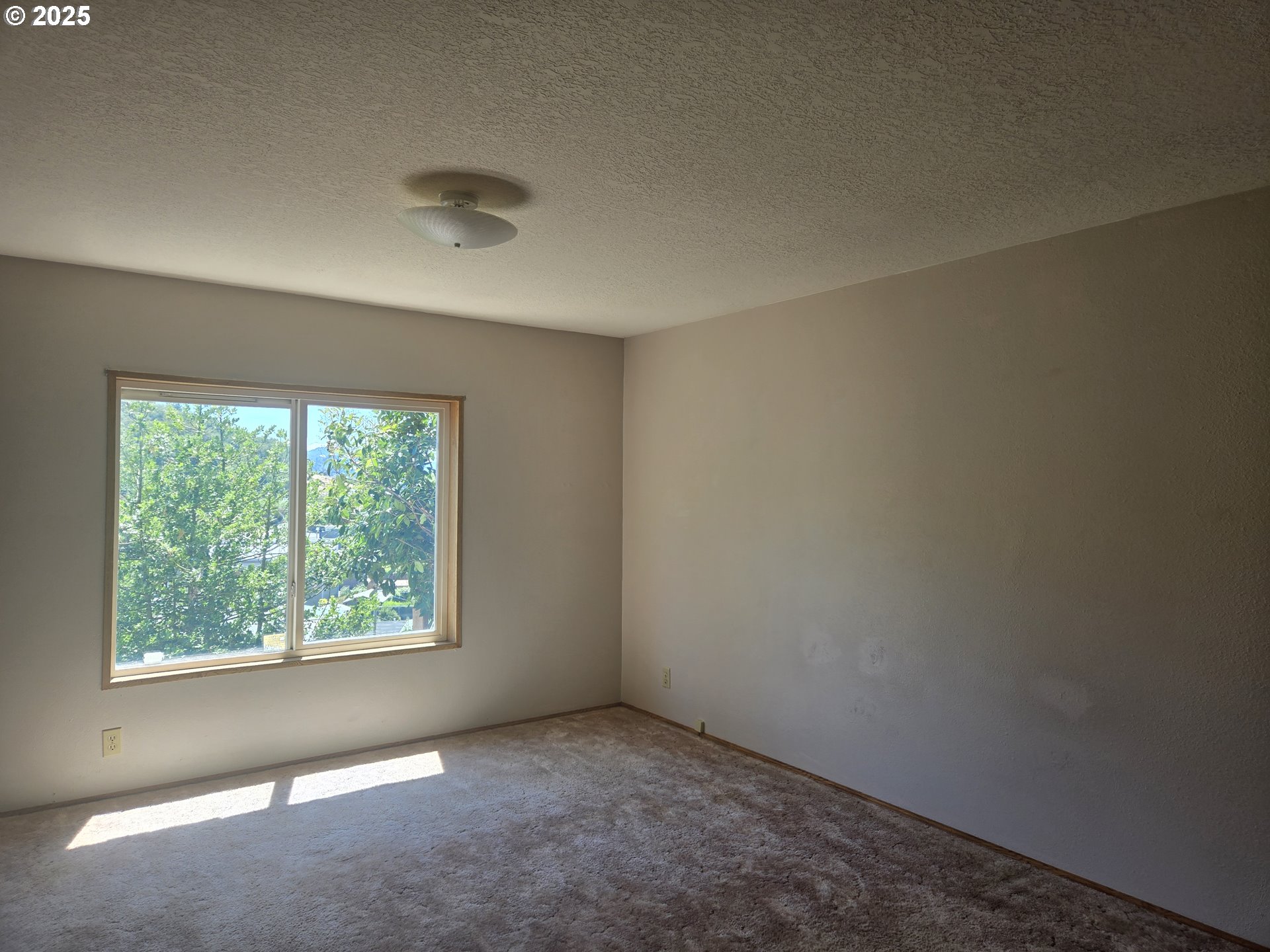132 Oak Tree Road Roseburg, OR 97470 - Photo 6 of 25 Gallery Image 6