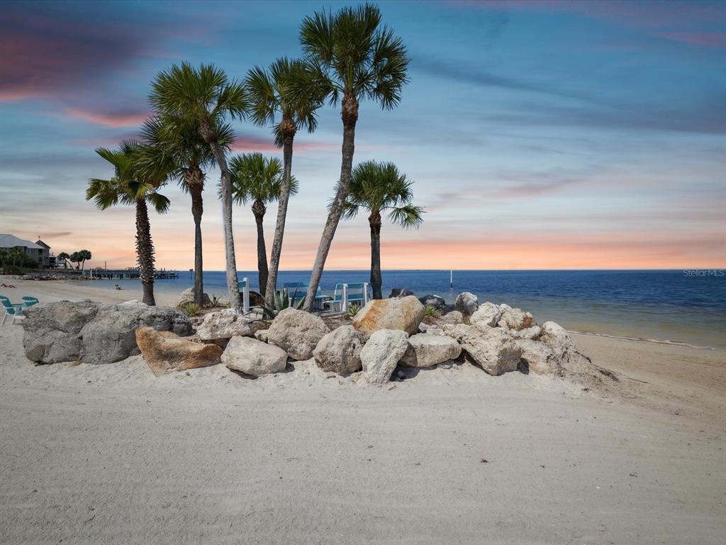 4559 Mitcher Road New Port Richey, FL 34652 - Photo 65 of 68 Gallery Image 65