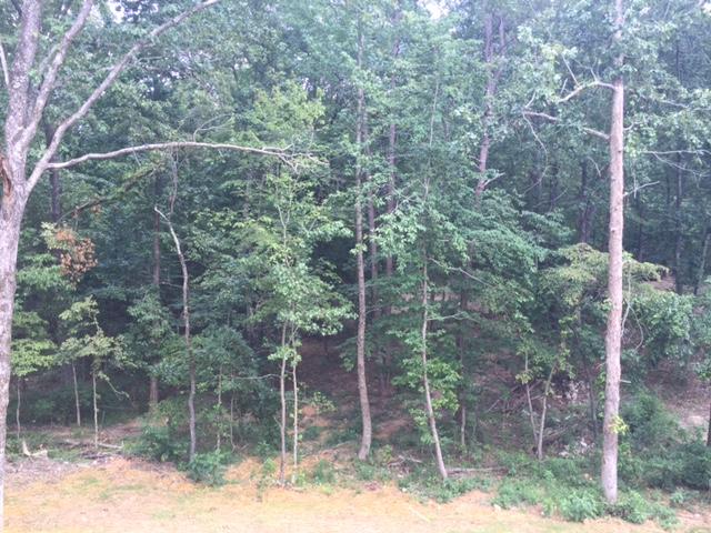 9270 Scarlet Ridge Road, Unit 9 Ooltewah, TN 37363 - Photo 17 of 17 IMG_1715-2