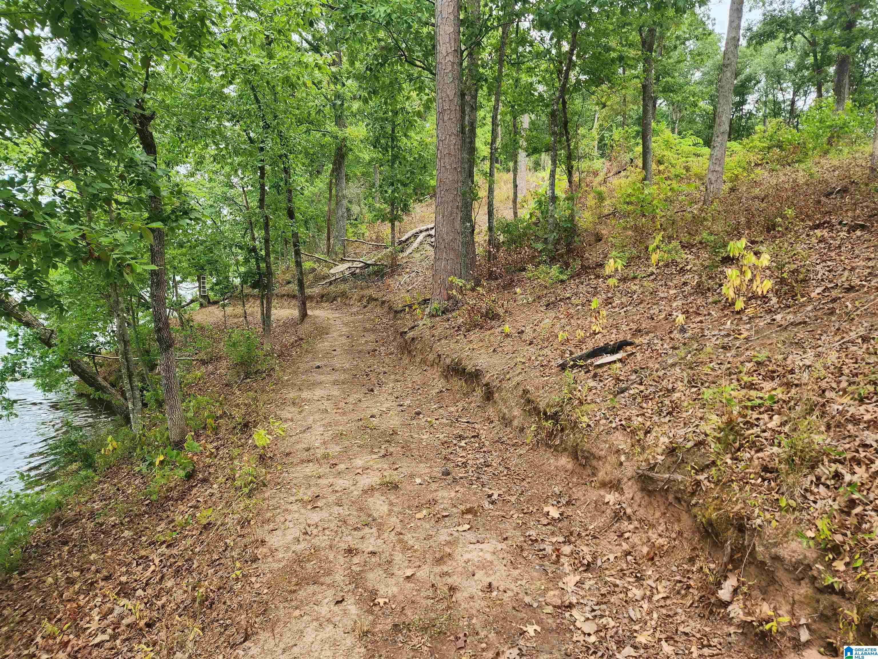 Lot 8 Eagle Mountain Road, Unit 8 Alexander City, AL 35010 - Photo 21 of 27