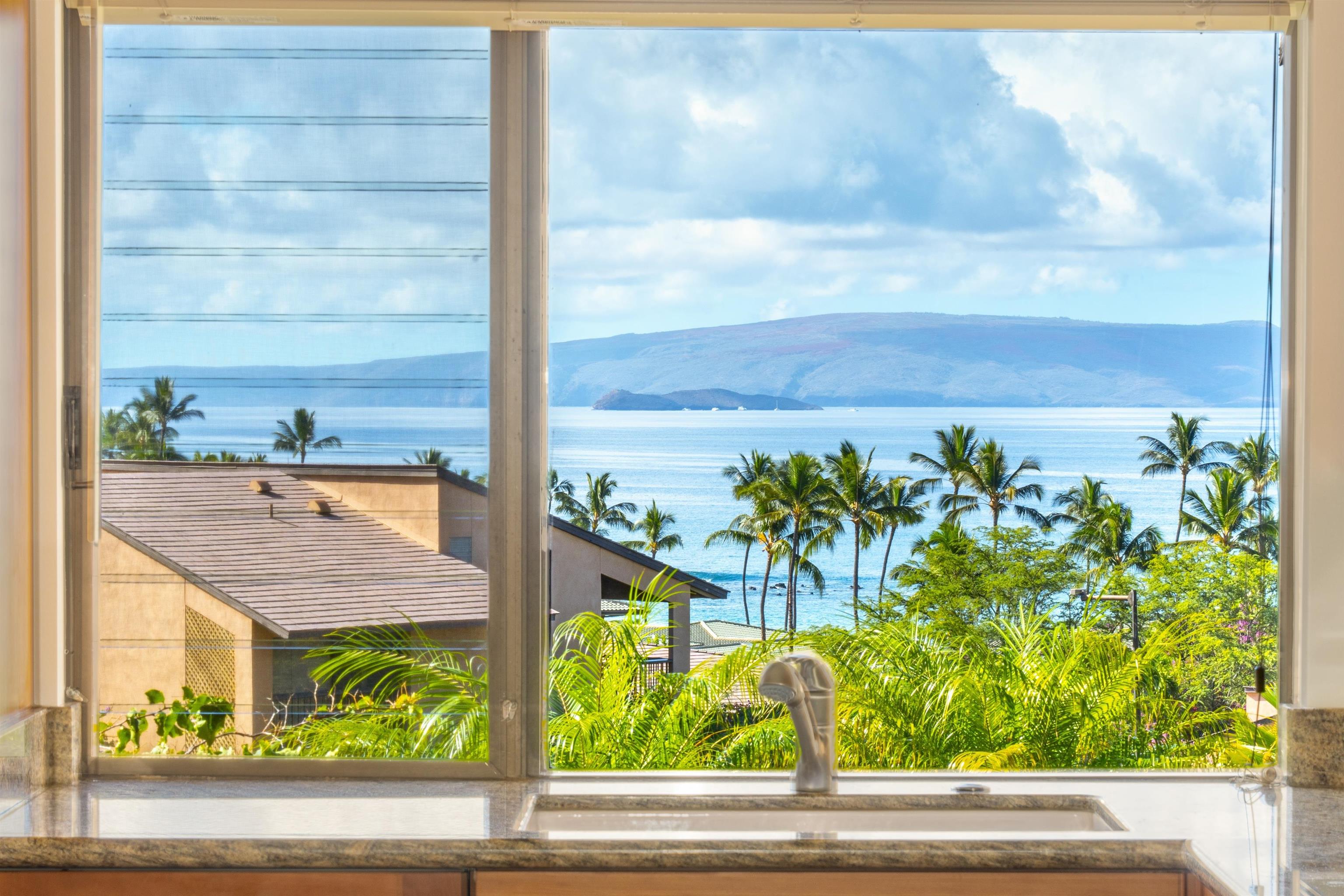 a view of a garden from a window