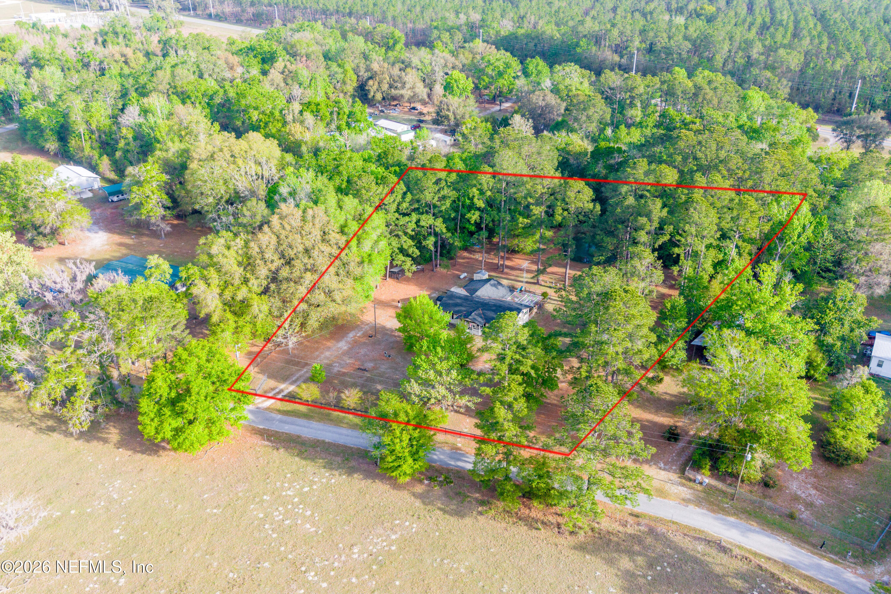 20021 Southeast 88th Trail Lake Butler, FL 32054 - Photo 11 of 43 a picture of flowers