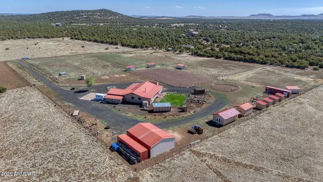 an aerial view of a house with a garden