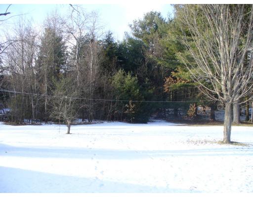 311 Ryan Road Northampton, MA 01062 - Photo 6 of 8 a view of a yard with a snow