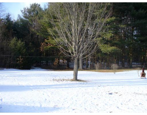 311 Ryan Road Northampton, MA 01062 - Photo 7 of 8 a view of backyard with green space