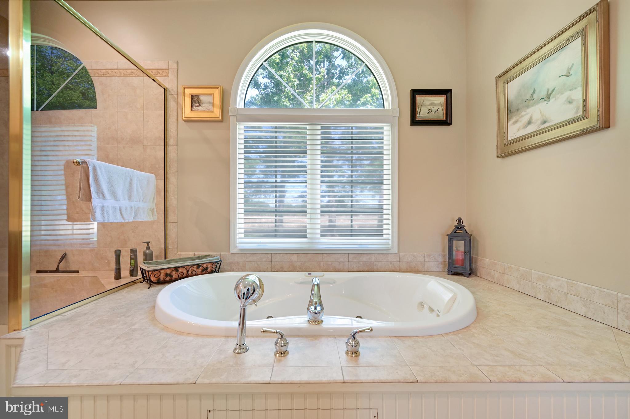 29455 West Line Road Delmar, MD 21875 - Photo 23 of 34