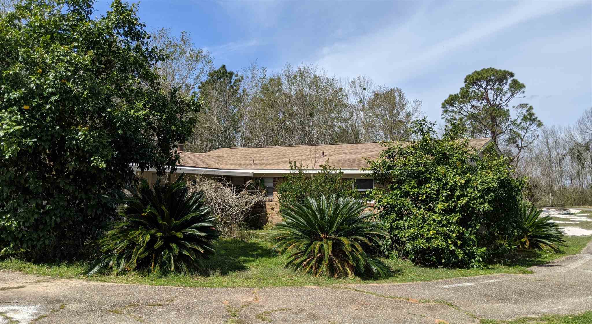 20512 Brinks Willis Road Foley, AL 36535 - Photo 8 of 34
