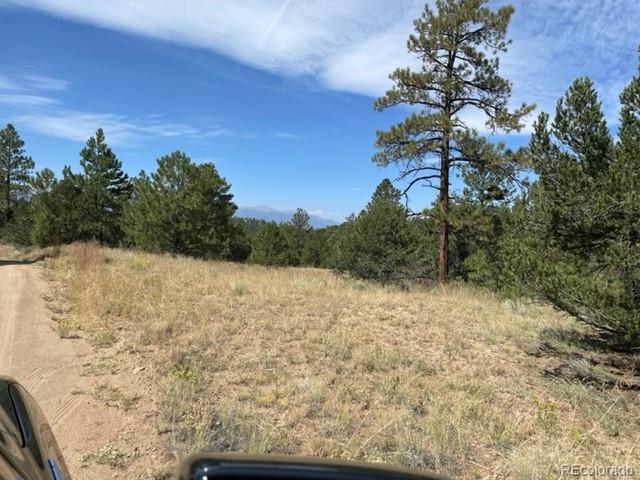 780 Rocky Ridge Road Westcliffe, CO 81252 - Photo 7 of 15 Gallery Image 7